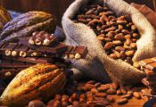 Здоровое питание: какао бобы, какао масло и порошок